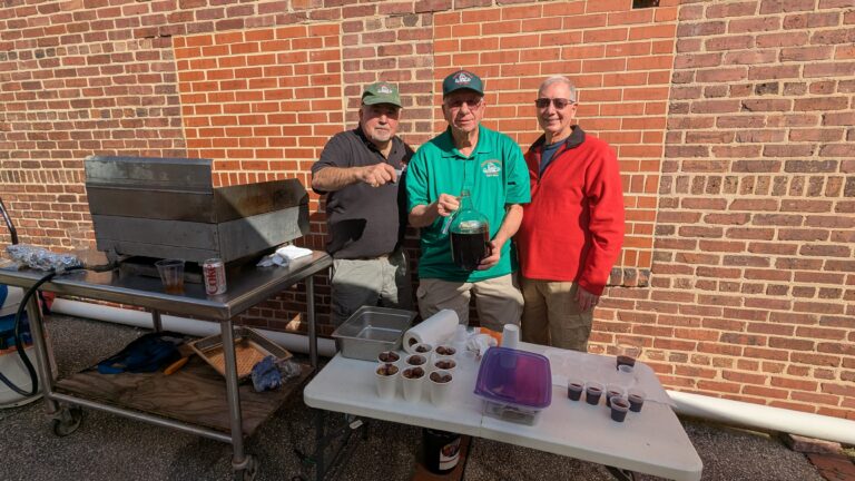 PXL_20251102_175255884